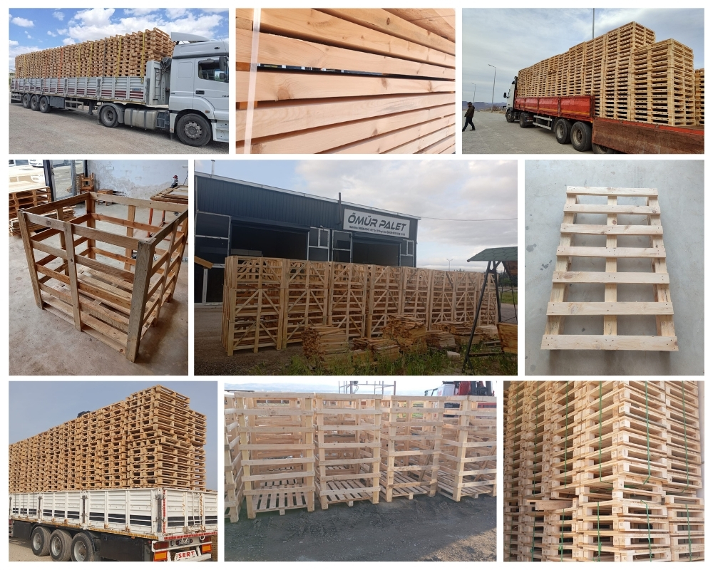 Shipton Bellinger Wooden Pallets, Buy Wooden Pallets Wholesale